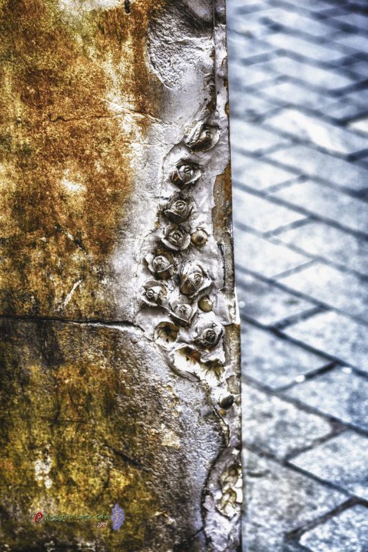 Rosas de piedra en la pared Reducc.jpg